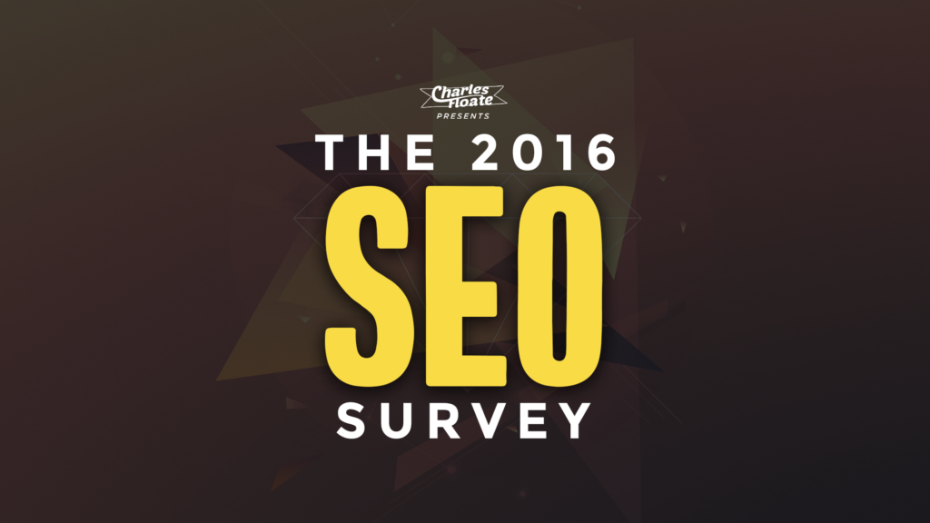seo survey 2016